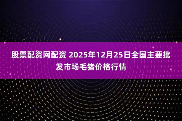 股票配资网配资 2025年12月25日全国主要批发市场毛猪价格行情