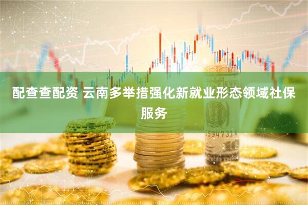 配查查配资 云南多举措强化新就业形态领域社保服务